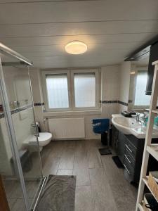 a bathroom with a shower and a sink and a toilet at Ferienwohnung mit Terrasse in Hofheim am Taunus