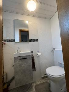 a bathroom with a white toilet and a sink at Ferienwohnung mit Terrasse in Hofheim am Taunus +6 photos
