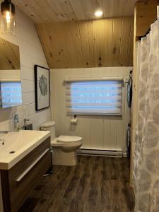 a bathroom with a toilet and a sink and a window at Le Petit chalet au Lac Schryer in Lac-Simon
