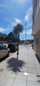 a palm tree on a sidewalk next to a street at Departamento a 2 cuadras de la playa in Mar del Plata