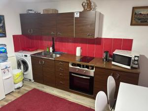 a kitchen with a stove and a microwave and red tiles at Apartman Delfin in Grahovište +19 photos