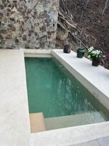 una piscina con due piante in vaso accanto ad essa di Villa Xololo Luxury Villa, La Boquilla Beach ad Arroyo Cruz