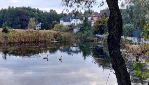 Peisaj natural din apropierea acestei pensiuni