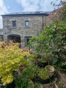un jardin avec des plantes devant une maison en pierre dans l'établissement The Coach House, à Feevaghmore