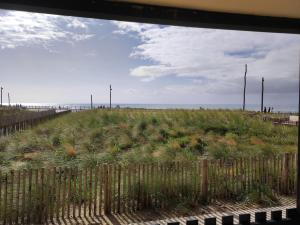 Foto dalla galleria di L'océan, les pins et vous a Lacanau