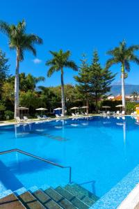 a large blue swimming pool with palm trees at Apartamentos Masaru in Puerto de la Cruz