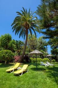 a group of lawn chairs and an umbrella and a palm tree at Apartamentos Masaru in Puerto de la Cruz