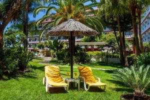 dos sillas y una mesa con una sombrilla en el césped en Apartamentos Masaru en Puerto de la Cruz