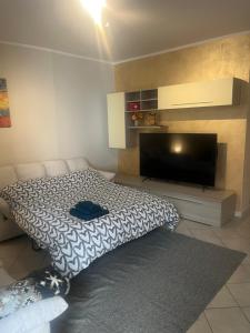 Un dormitorio con una cama y un televisor de pantalla plana. en Casa Carlotta, en Nizza Monferrato