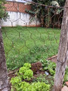 una recinzione a maglie di catena con un orto di lattuga di Aconchego II a Foz do Iguaçu 1 altra foto