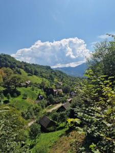 a small village on a hill with trees and houses at Pustirnik in Rakhiv +10 photos