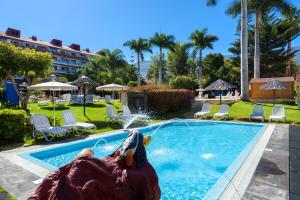 a pool with a statue of a bear in the water at Apartamentos Masaru in Puerto de la Cruz