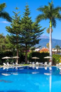 a swimming pool with chairs and palm trees at Apartamentos Masaru in Puerto de la Cruz