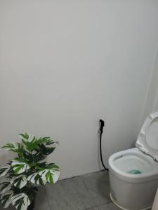 a bathroom with a toilet and a plant in the corner at Marine House Koh Tao in Koh Tao +9 photos