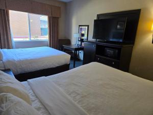 Gallery image of Lotus Inn in Albany +2 photos