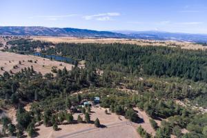 an aerial view of a forest of trees at The Oaks feat Private Disc Golf Course in Lyle +22 photos