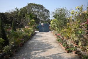 Φωτογραφία από το άλμπουμ του Muktadhara Eco Homestay σε Shanti Niketan