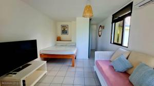ein Wohnzimmer mit Couch und Flachbildfernseher in der Unterkunft Studio les pieds dans l'eau belle vue mer in Le Gosier