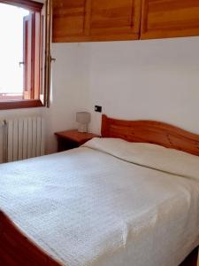 a bedroom with a white bed and a window at Chalet Bellavista in Chiesa in Valmalenco