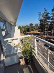 a balcony with two potted plants and a railing at Condominio Parque Mar El Tabo in El Tabo