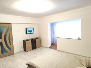 a living room with a couch and a window at Studio Central Brancusi in Târgu Jiu