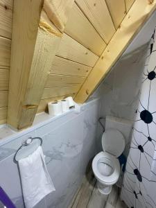 a bathroom with a toilet and towels on a shelf at Lake house angela in Kuside