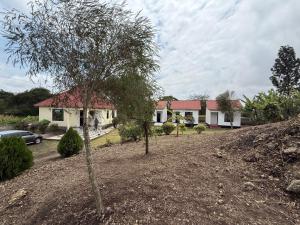 a house with a tree in front of it at Mlangoni Cottages in Sanya Juu