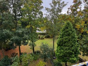an aerial view of a garden with two trees at Moderne Monteurwohnung in der Nähe vom VW Werk 1 in Wolfsburg