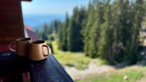 two coffee cups on a window sill looking out at a forest at Forest light in Pamporovo