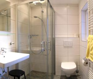ein Bad mit einer Dusche, einem WC und einem Waschbecken in der Unterkunft Apartment Brandau in Kappl