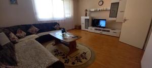TV a/nebo společenská místnost v ubytování Apartman Irmel