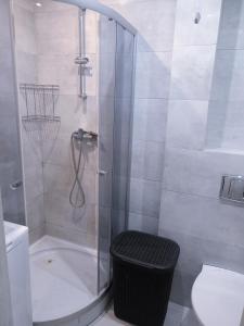 a bathroom with a shower and a toilet at Srebrny Apartament in Skarżysko-Kamienna