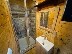 a bathroom with a shower and a sink and a toilet at wellness vagon in Chlum u Třeboně
