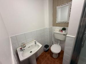 FeevaghmoreにあるCharming 2Bedroom Apartment in the Heart of Dublinのトイレと洗面台を備えた白いバスルーム