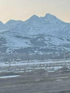 una cordillera cubierta de nieve frente a un campo en Best Vew Aralanj, en Yernjatapʼ
