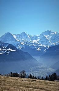 Afbeelding uit fotogalerij van Alegria Beatenberg in Beatenberg