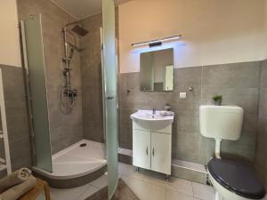 a bathroom with a shower toilet and a sink at Haus OstseeWelle - Wohnung 10 in Dahme +12 photos