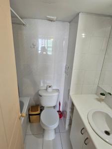 a white bathroom with a toilet and a sink at Departamento Centrico Santiago Centro in Santiago