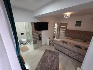 クラヨーヴァにあるLaura's Residence Luxuryのソファとテレビ付きの広いリビングルーム