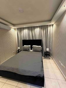 a bedroom with a large bed with two pillows at Burungos Place at Terrazas del Caribe in Ensanche Savica de Mendoza +18 photos