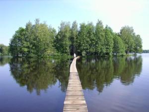 a wooden dock in the middle of a lake at wellness vagon in Chlum u Třeboně +3 photos