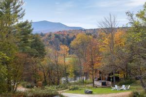 un cenador en medio de un bosque en Modern Tiny House with hot tub & river near Stowe, en Johnson