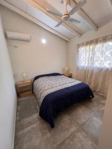 een slaapkamer met een bed en een plafondventilator bij La Casa del Gringo in Villa Icho Cruz