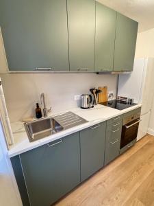 Una cocina con gabinetes grises y un fregadero. en Munst-Air Lodge - Stay between Vosges and vineyard, en Munster 22 fotos más