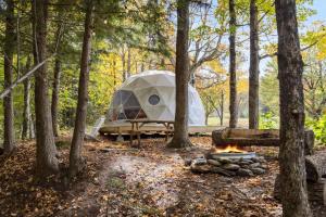 Κήπος έξω από το Geodome 1min to Smuggler's Notch with hot tub & River