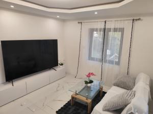 a living room with a large flat screen tv on a wall at Appartement meublé Rixheim Alsace in Rixheim