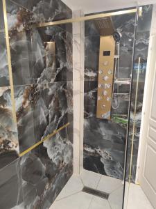 a shower in a room with a stone wall at Appartement meublé Rixheim Alsace in Rixheim