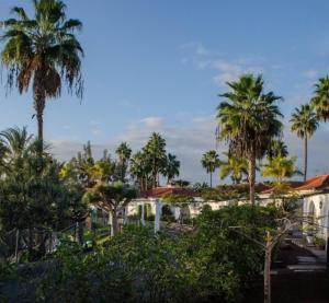 een groep palmbomen voor een gebouw bij Bungalow Golf Splash Park in Maspalomas