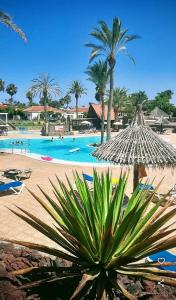 een resort met een groot zwembad met palmbomen bij Bungalow Golf Splash Park in Maspalomas