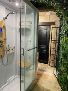 a shower with a glass door in a bathroom at Jardin d'Ébène in Les Roches-lʼÉvêque